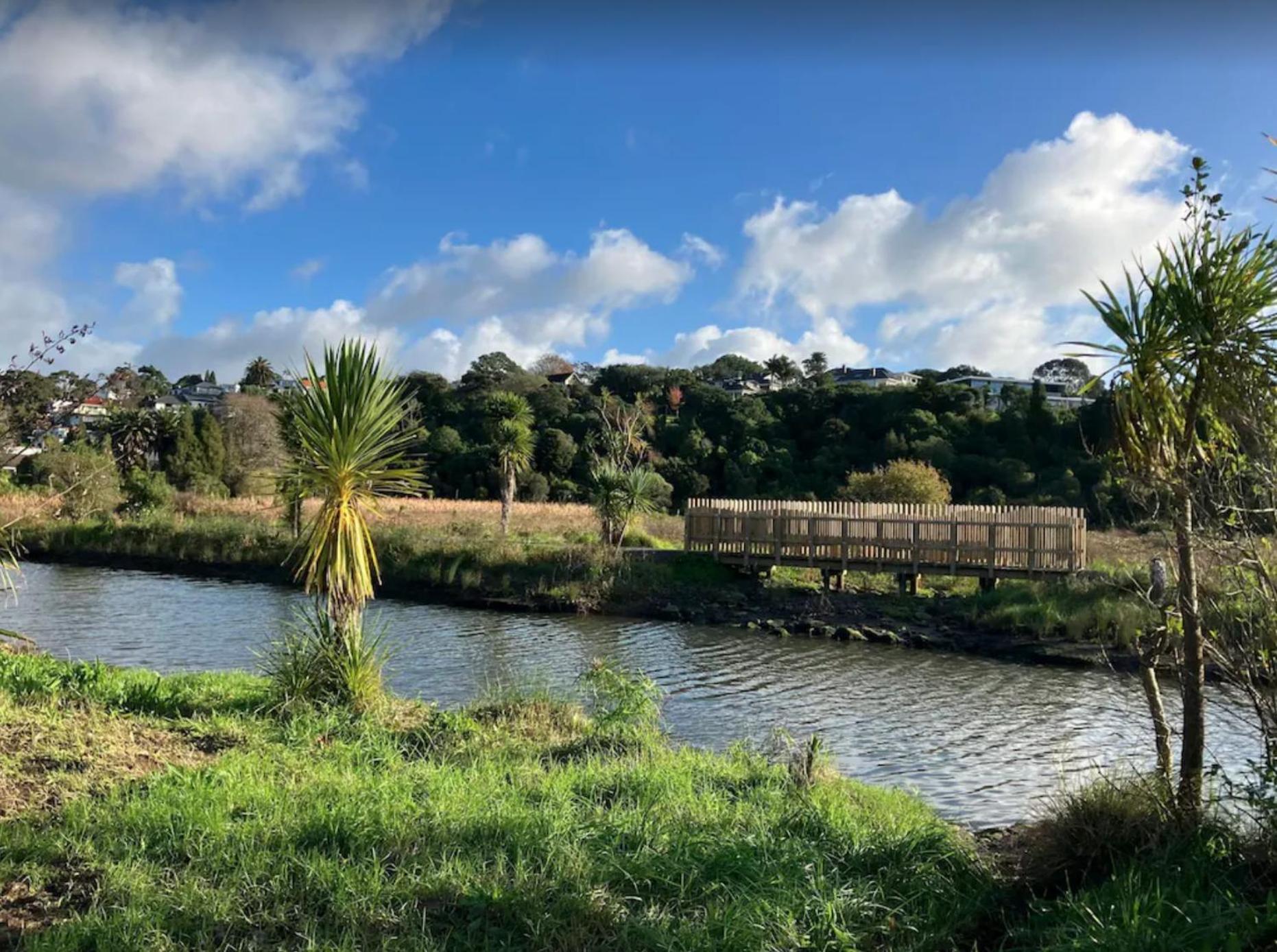 Remuera Spacious Holiday Home オークランド エクステリア 写真